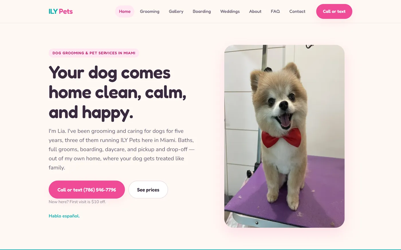 The ILY Pets homepage on a desktop: a Pomeranian in a red bow tie on the grooming table, beside the headline Your dog comes home clean, calm, and happy